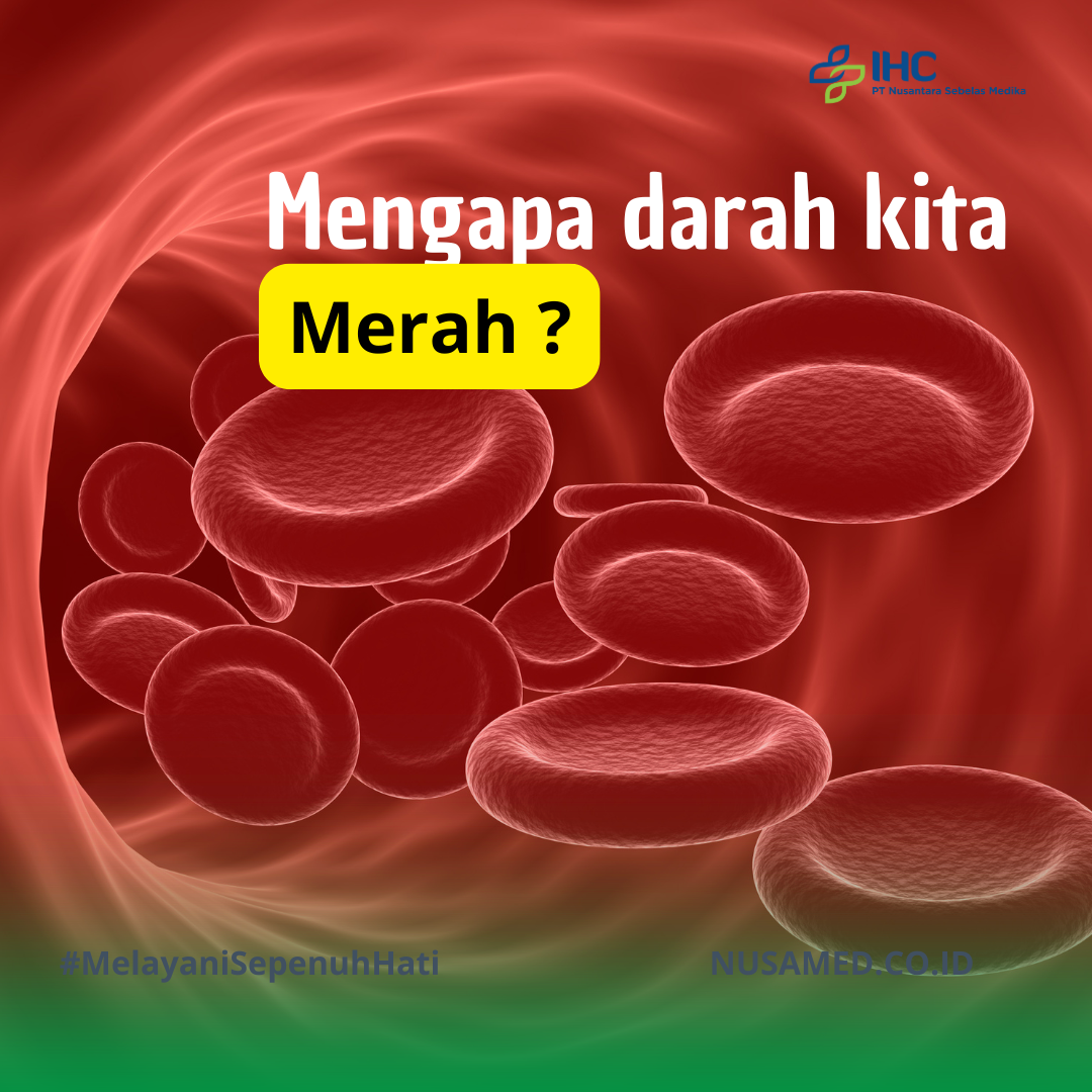 Kenapa darah kita merah